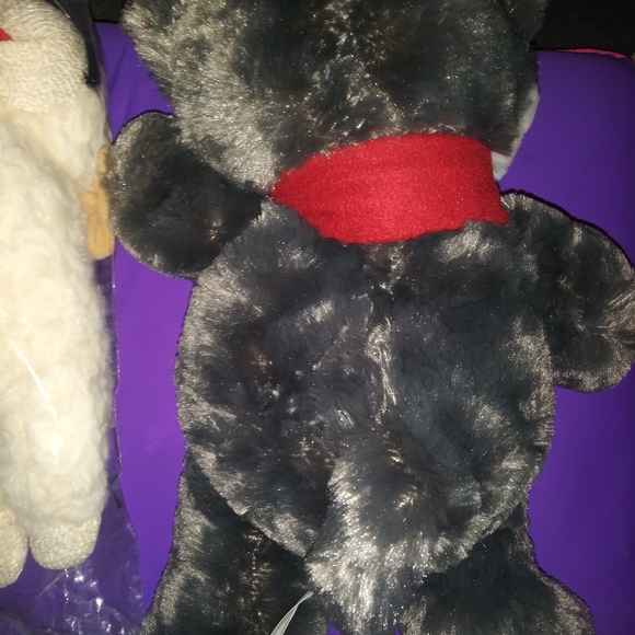 🆕Petsmart Dog Squeak Toys- Lot of 2 - Picture 4 of 11